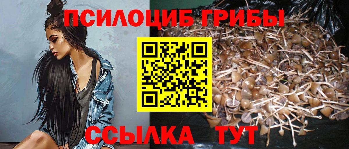 Псилоцибиновые грибы MAGIC MUSHROOMS Сегежа