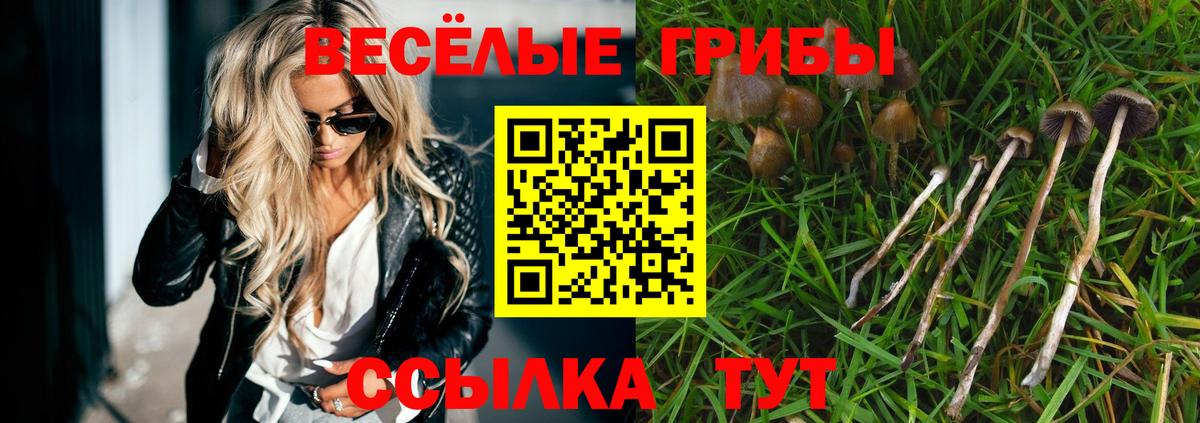 Псилоцибиновые грибы MAGIC MUSHROOMS  Вход с VPN  Сегежа 
