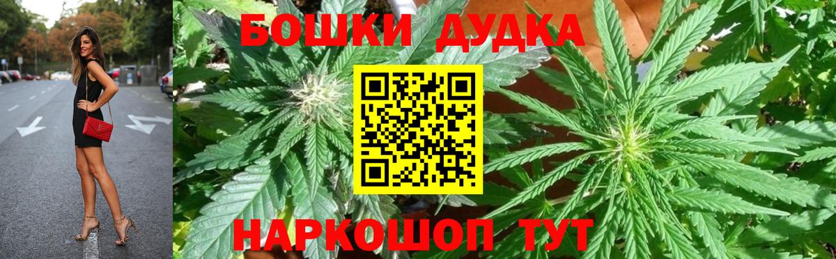 Бошки Шишки план Сегежа